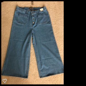 NWT Point Sur wide-leg crop jean